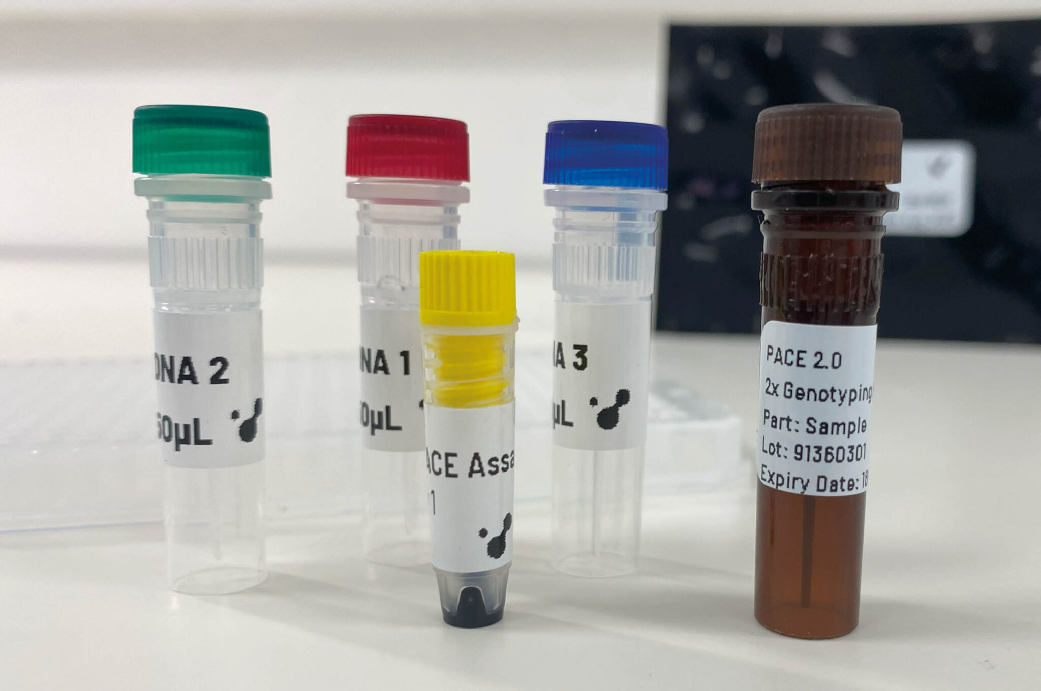 Transform PCR Genotyping with PACE® Genotyping Solutions