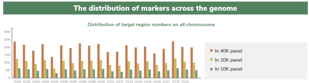 Soybean Distribution of markers across the genome 3crbio