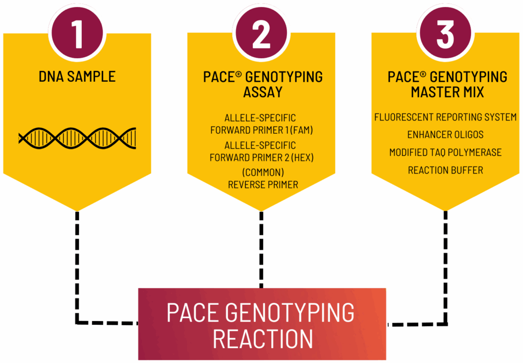 An infographic showing the positioning of PACE with other genotyping technlogies.