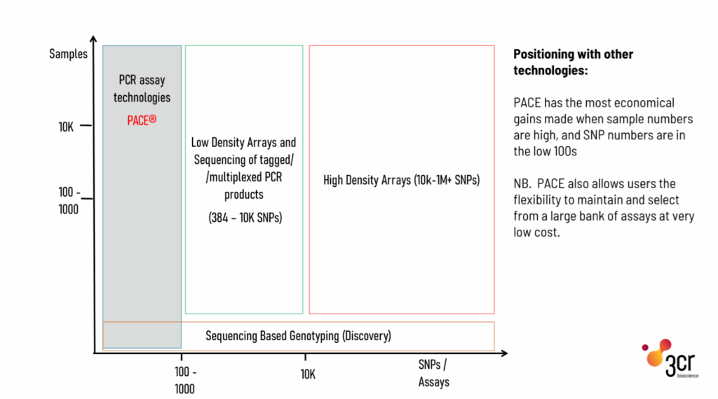 A schematic showing the components of a PACE PCR genotyping reaction.