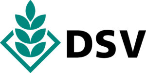 DSV_Logo_rgb