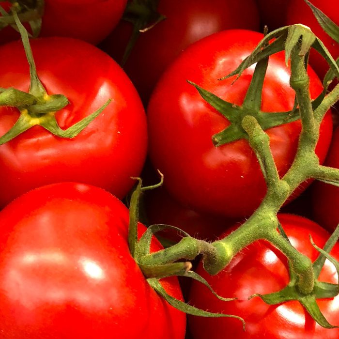 Tomatoes on vine BREEDING MORE RESILIENT TOMATO CROPS